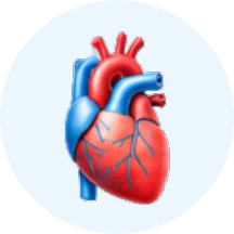 Cardiovascular & Renal