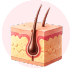 Dermatology & Allergy