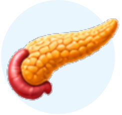 Endocrinology & Metabolism