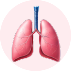 Pulmonary