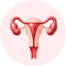 Reproductive & Urology